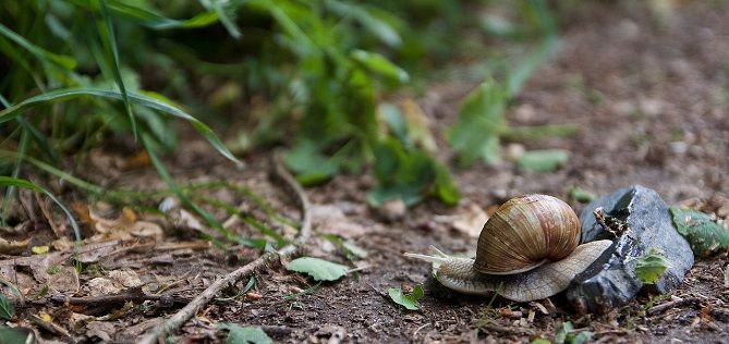 Stěhováním se nevýhodné smlouvy na dobu určitou zbavit nemusíte. Někteří dodavatelé vás budou nutit do převedení závazku na nové odběrné místo pod hrozbou sankcí za předčasné ukončení smlouvy.