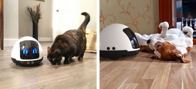 Robot Mia s kočkou a se psem