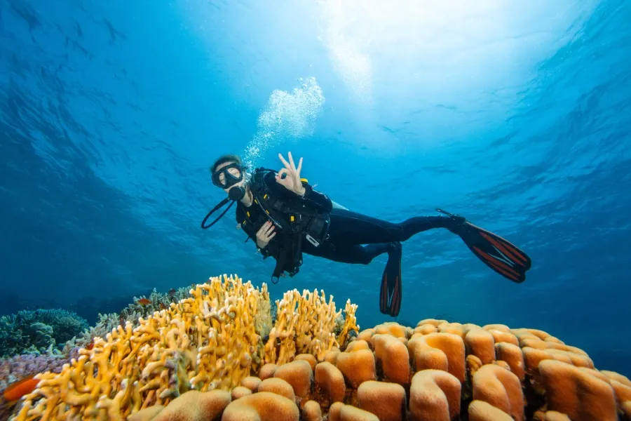 Cestovní pojištění pro potápění