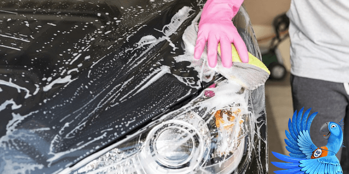 Servis auta - jak se starat o váš vůz