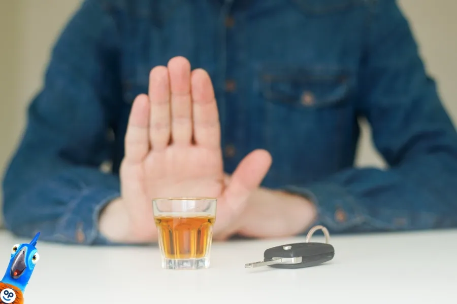 Alkohol za volantem