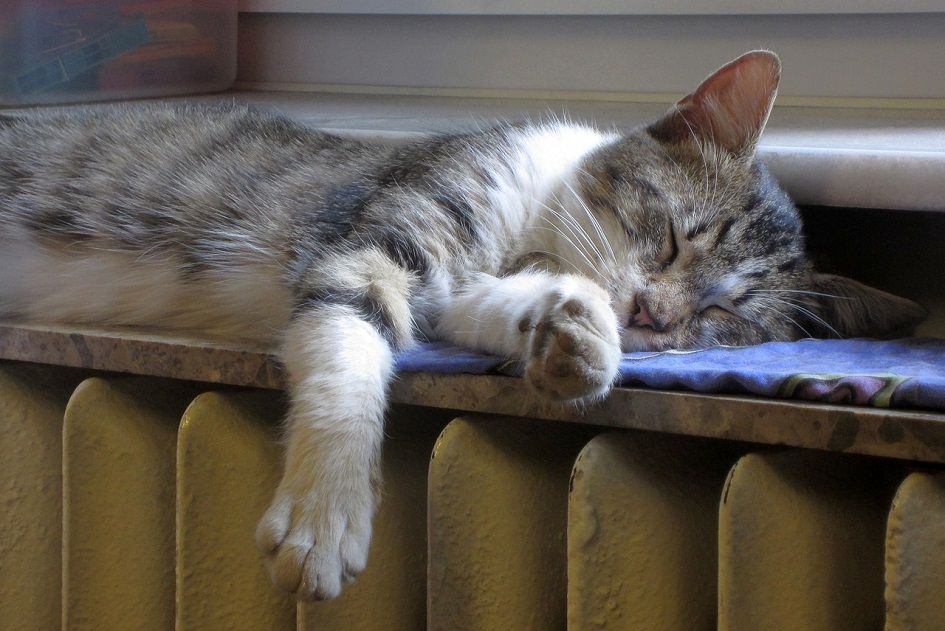 Vše, co potřebujete vědět o topné sezóně 2017