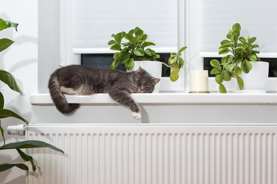 7 tipů a triků, jak ušetřit peníze za plyn