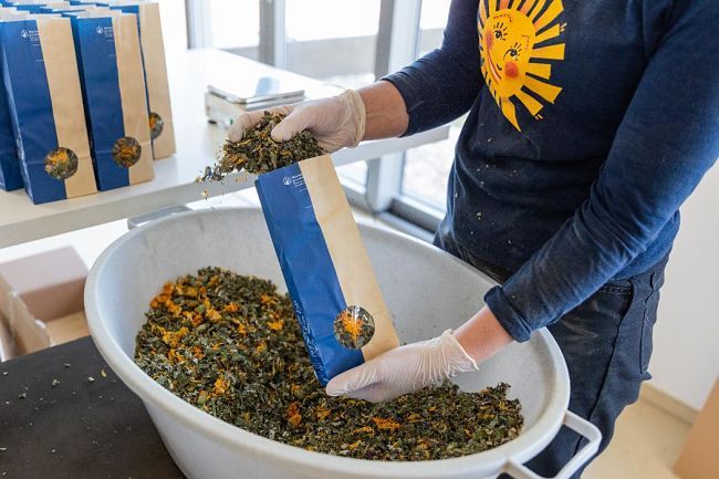 E.ON Energy Globe: Firmy, které udávají ekologické trendy