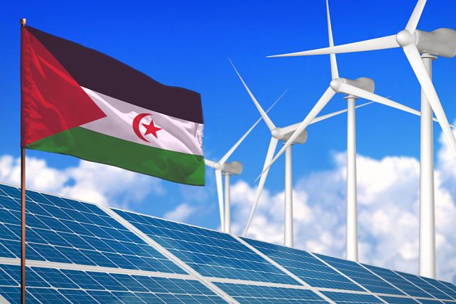 Solární elektrárna měla vzniknout na saharské poušti