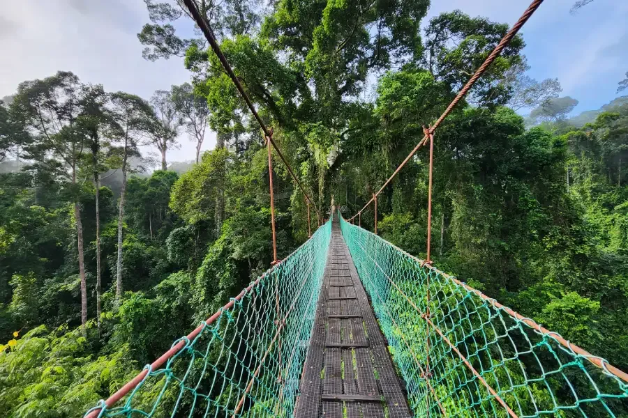 kam na svatební cestu Borneo