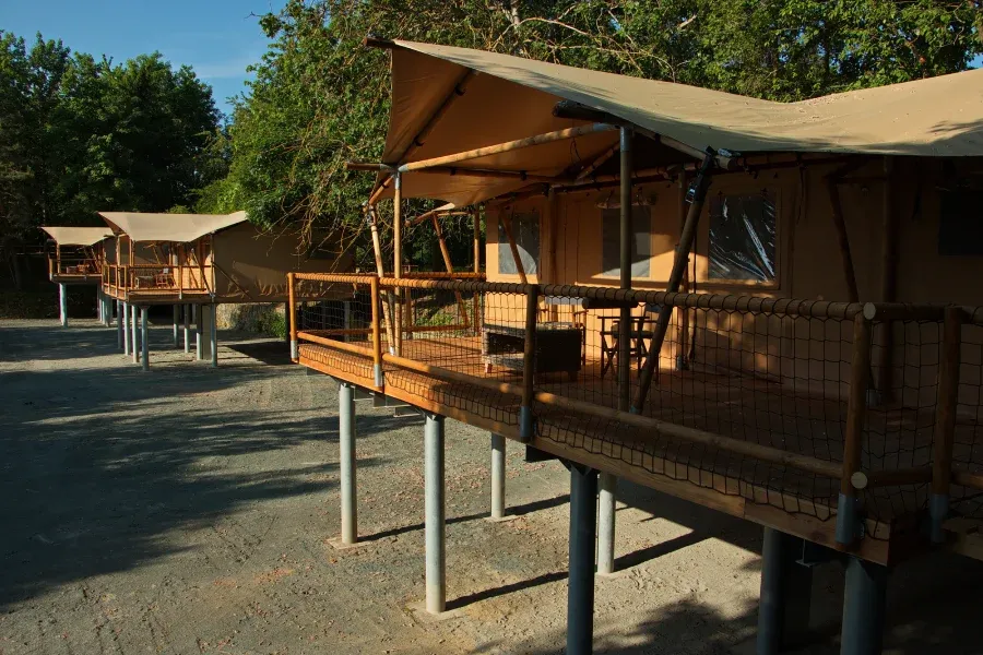 kam pod stan Safari park