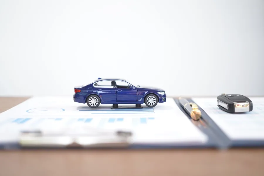 kontrola auta podle SPZ