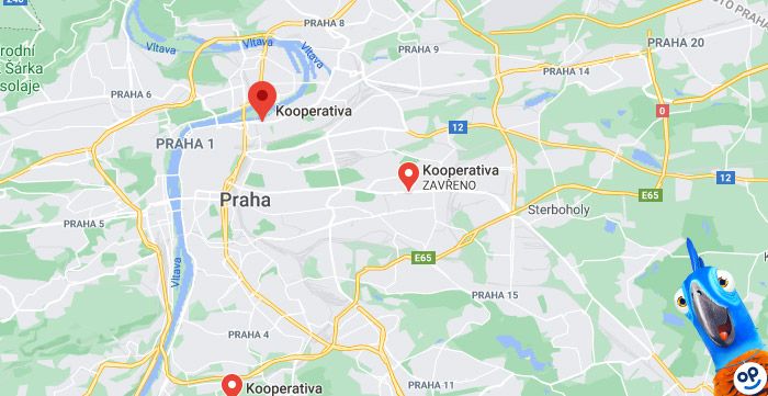Kooperativa smluvní servisy