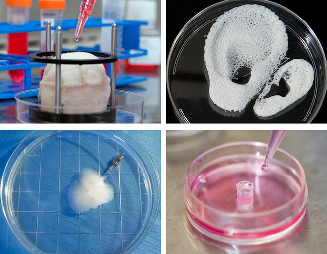 Budou v budoucnu 3D tiskárny pomáhat v medicíně?