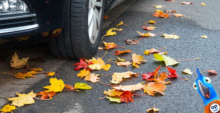 Povinné ručení - podzimní péče o auto