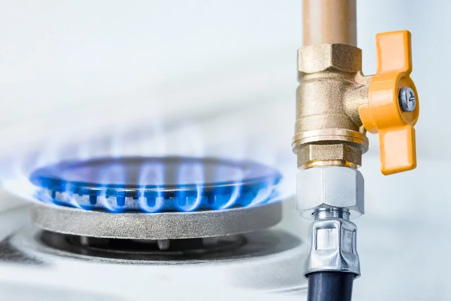 regulovaná složka ceny plynu