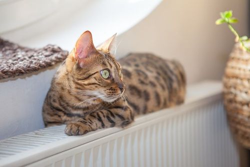 Topná sezona za dveřmi: 4 tipy, jak během zimy neprotopit majlant Topná sezona za dveřmi: 4 tipy, jak během zimy neprotopit majlant