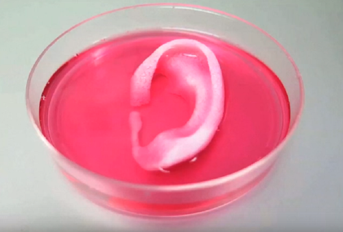 Tiskárna na lidi? 3D systém ITOP dokáže vytvořit funkční lidské tkáně Tiskárna na lidi? 3D systém ITOP dokáže vytvořit funkční lidské tkáně