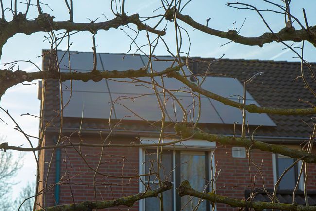 Solární panely se u nás vyplatí.