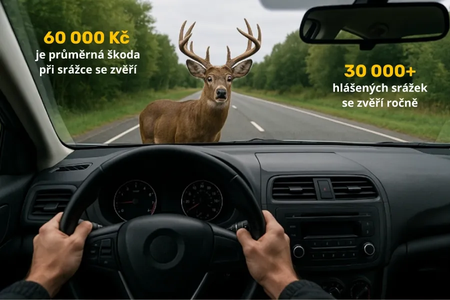 srážka se zvěří