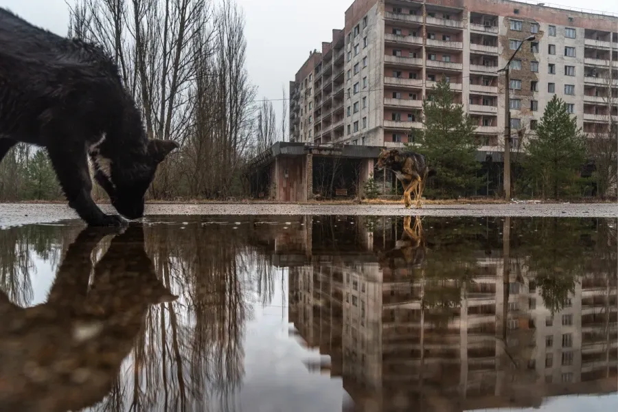 zkáza Černobylu